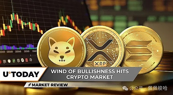 比特币又跌了？别慌，这可能是个黄金机会！