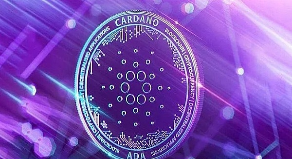 加密世界风云录：2025盛夏的12个关键转折点